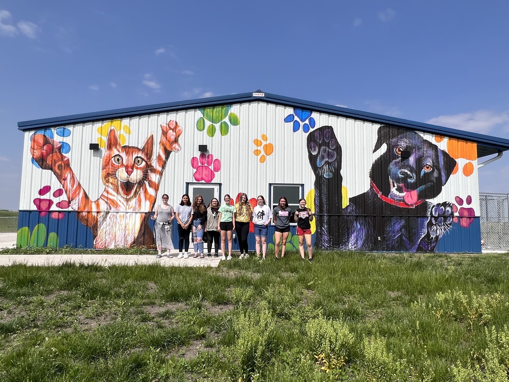 Animal Shelter Mural Greene County High School